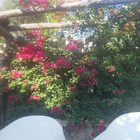 Libera Apartments Stara Baska