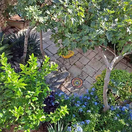 Libera * Stara Baška