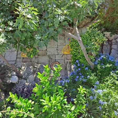 Apartment Libera