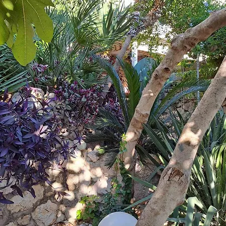 Libera Apartment Stara Baška